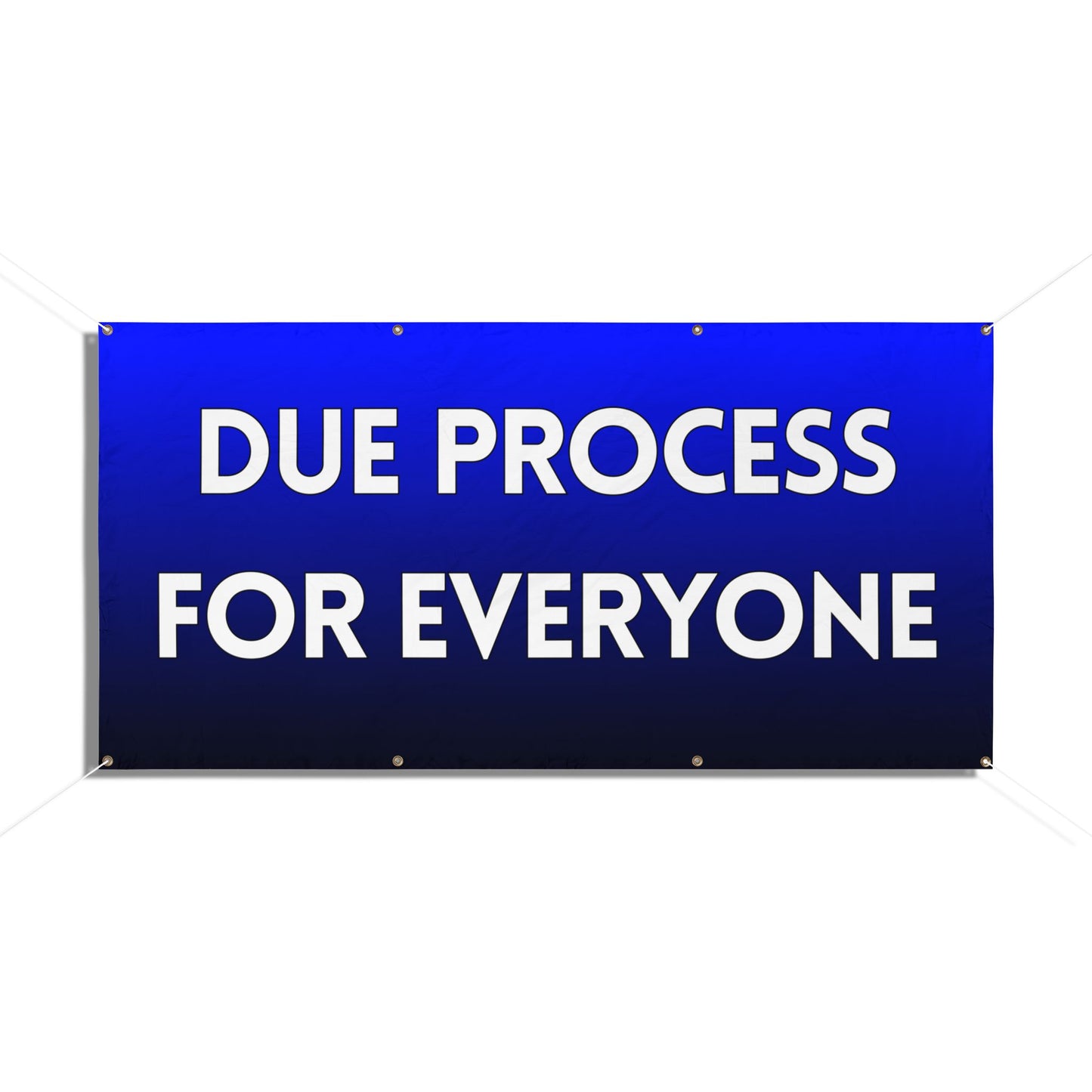 Due Process for Everyone 72" x 36" Vinyl Banner